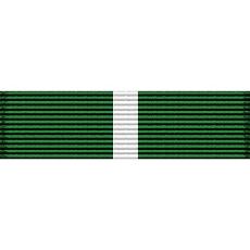 Washington National Guard Service Ribbon